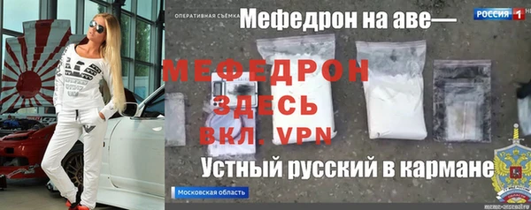 индика Костерёво