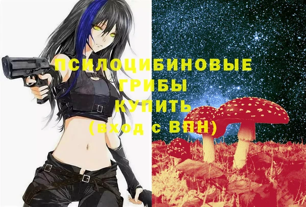 гидропоника Кукмор
