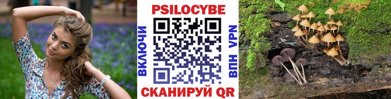 Галлюциногенные грибы Psilocybine cubensis  нарко площадка состав  Называевск  где найти наркотики 